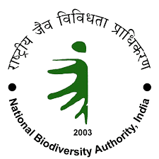 NBA logo