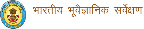 GSI logo
